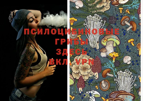 крисы Верхний Тагил