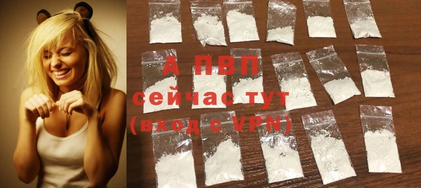 крисы Верхний Тагил