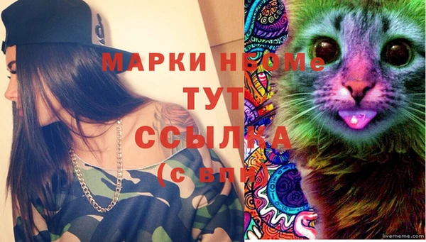 крисы Верхний Тагил