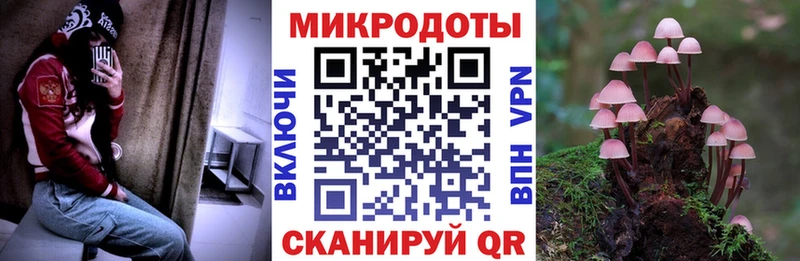 Купить  Давлеканово  Галлюциногенные грибы Psilocybe 